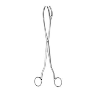 Iodine and Sterilizing Forceps, 20cm