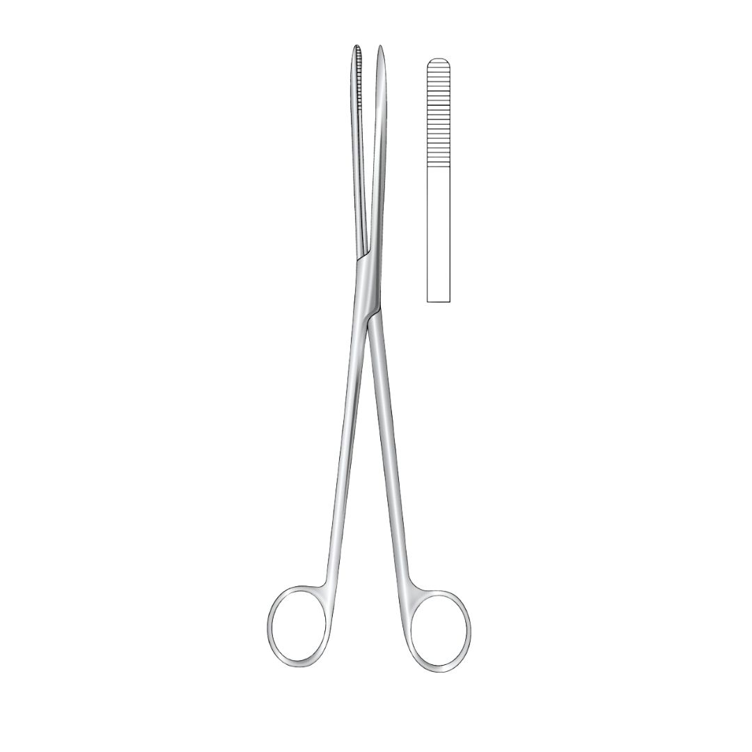 BOZEMANN, Swab Forceps, Straight, 26cm