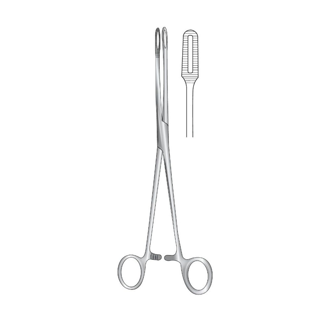 BERGMANN-FOERSTER, Swab Forceps, Straight, 24cm